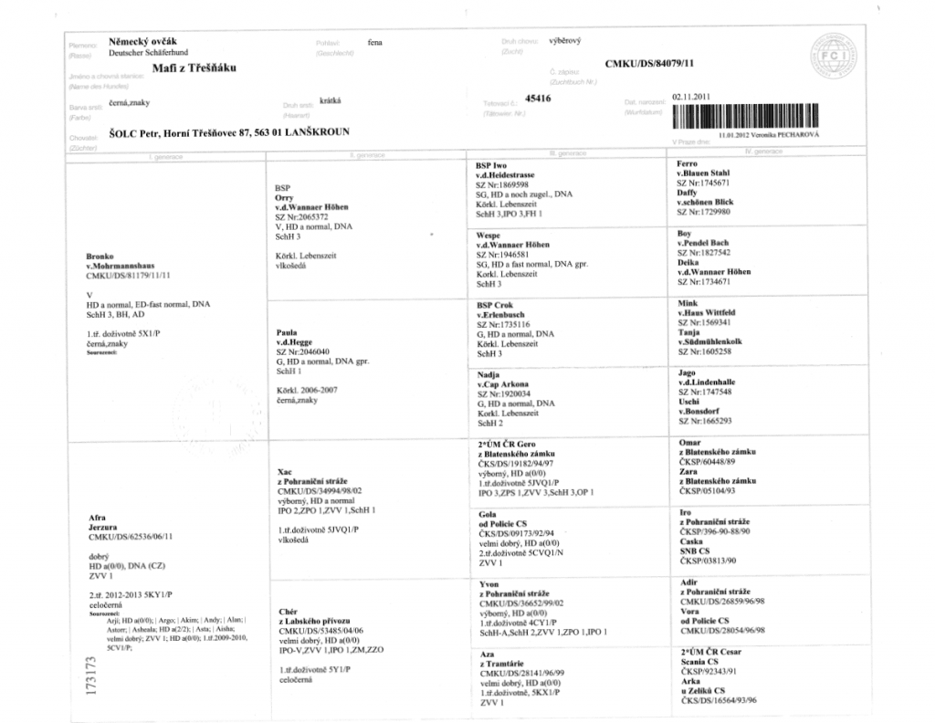 Retired and Remembered Timber Ridge Dogs Timber Ridge Farm